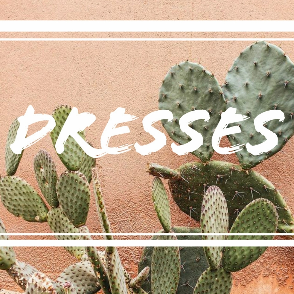 Dresses Below